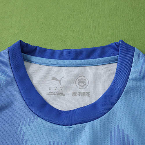 2026 FIFA World Cup Austria away Fan version
