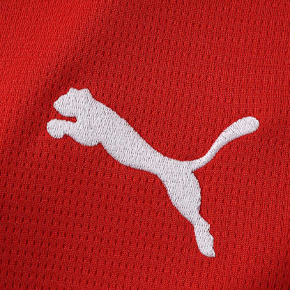 2026 FIFA World Cup Austria home Fan version