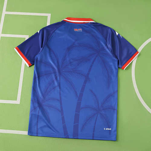 2026 FIFA World Cup Haiti home Fan version