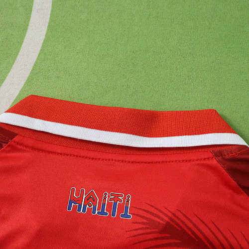 2026 FIFA World Cup Haiti third Fan version