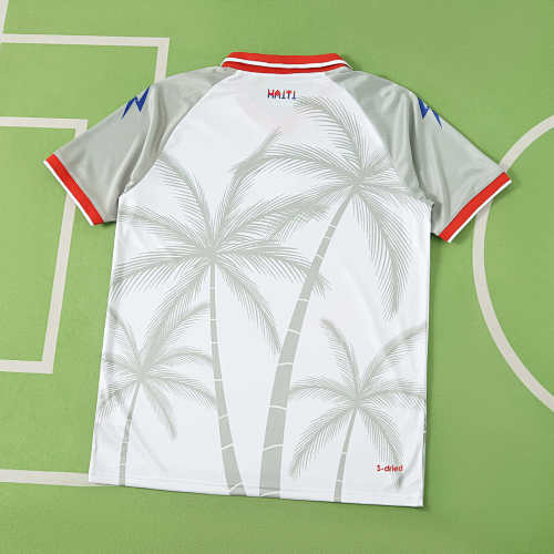 2026 FIFA World Cup Haiti away Fan version