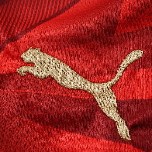 2026 FIFA World Cup Egypt home Fan version